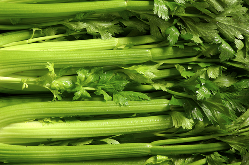 Celery1