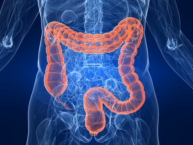 highlighted colon