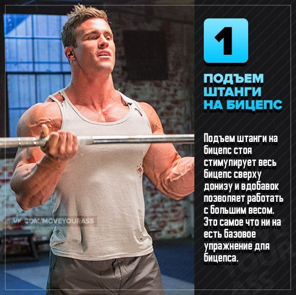 Одни из лучших упражнений для бицепса с подробным описанием