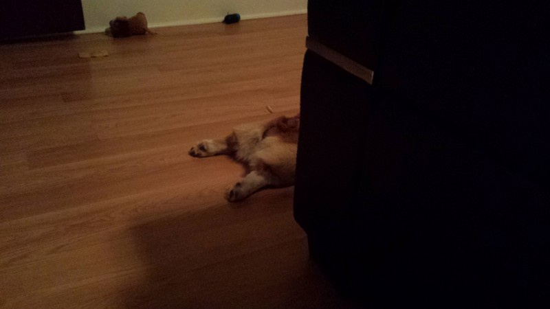 Вот почему вы должны положить кукурузный крахмал на свои ботинки. Попрощайтесь с неприятными запахами