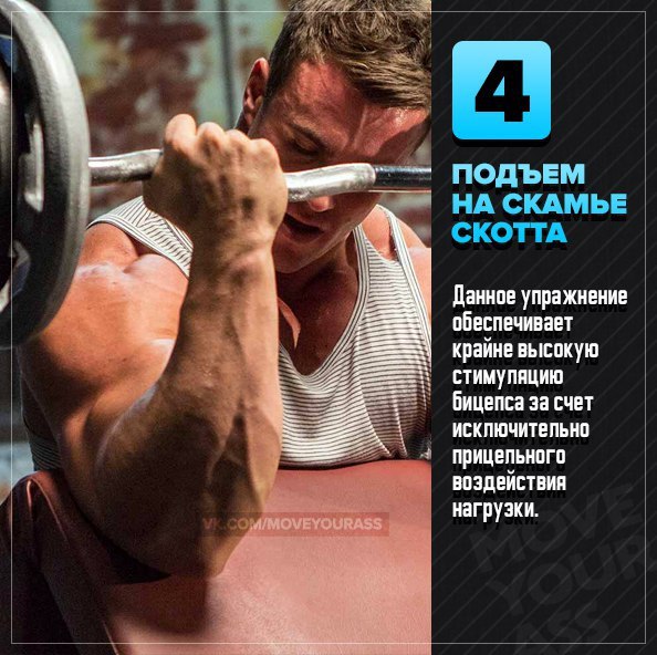 5 лучших упражнений для прокачки бицепса