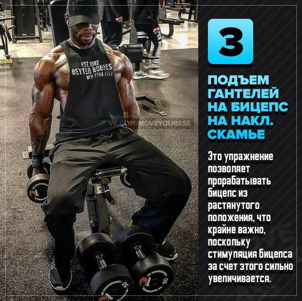 5 лучших упражнений для прокачки бицепса