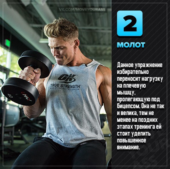 5 лучших упражнений для прокачки бицепса