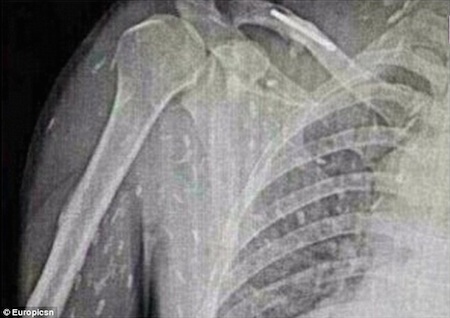 Вы никогда не будете есть суши снова после того, как вы это прочитаете