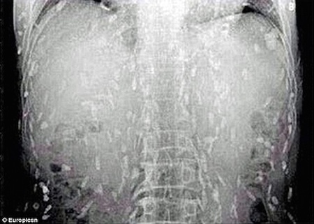 Вы никогда не будете есть суши снова после того, как вы это прочитаете