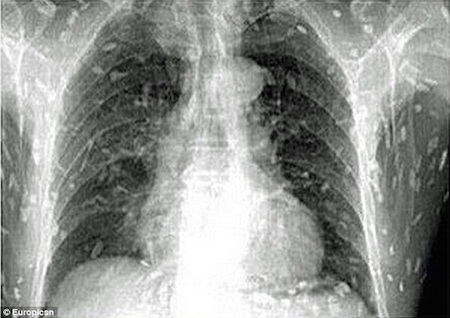 Вы никогда не будете есть суши снова после того, как вы это прочитаете