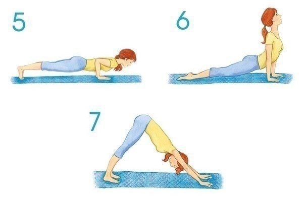 Комплекс упражнений для здоровья позвоночника и мышц спины