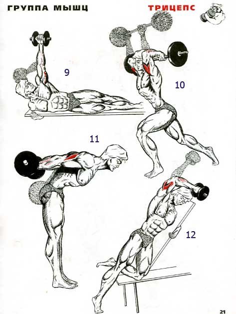 Разнообразие тренировок при прокачке трицепса. 31 упражнение