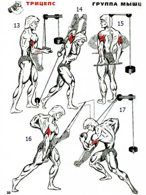 Разнообразие тренировок при прокачке трицепса. 31 упражнение