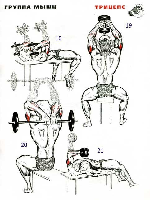 Разнообразие тренировок при прокачке трицепса. 31 упражнение