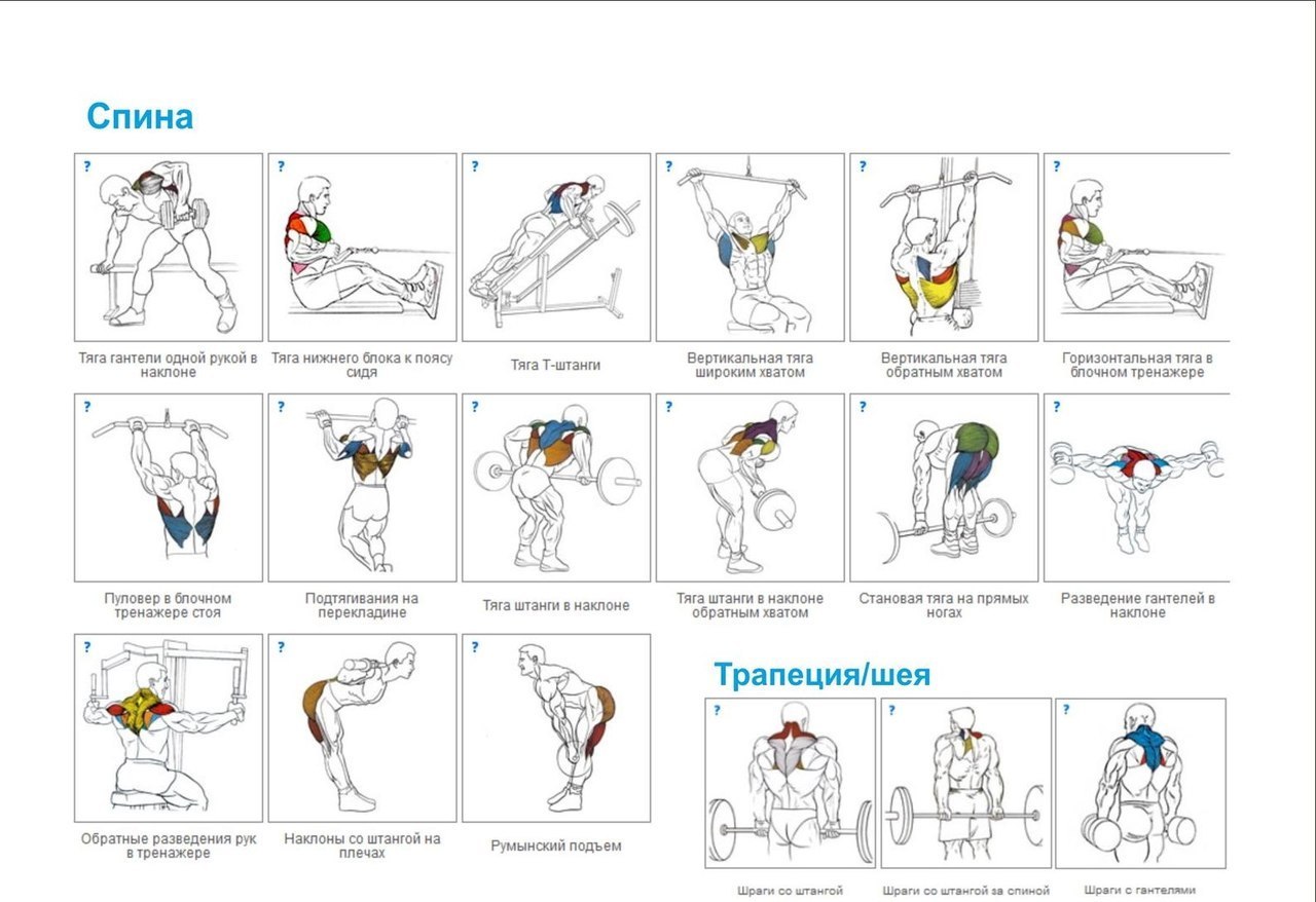 Краткая энциклопедия упражнений. Упражнения на все группы мышц