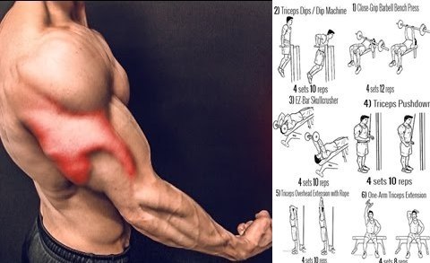 Подборка упражнений, наглядно демонстрирующих виды упражнений, для проработки верхних групп мышц.