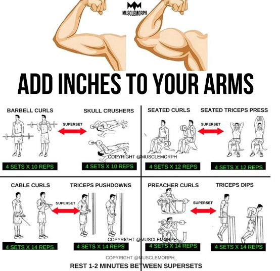 Тренировочные комплексы для основных мышечных групп в картинках