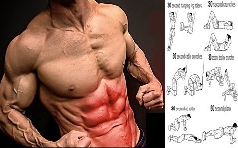 Подборка упражнений, наглядно демонстрирующих виды упражнений, для проработки верхних групп мышц.