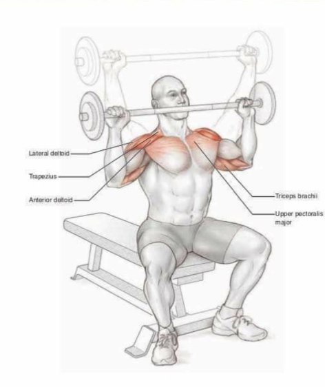 Основные упражнения для тренировки плеч