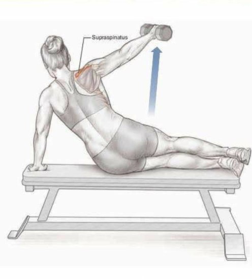 Основные упражнения для тренировки плеч