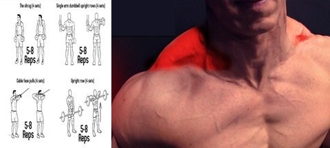 Подборка упражнений, наглядно демонстрирующих виды упражнений, для проработки верхних групп мышц.