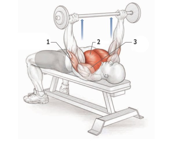 Упражнения для прокачки грудных мышц