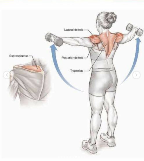 Основные упражнения для тренировки плеч