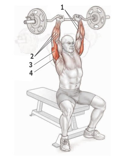 Основные упражнения для тренировки трицепса