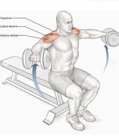 Основные упражнения для тренировки плеч