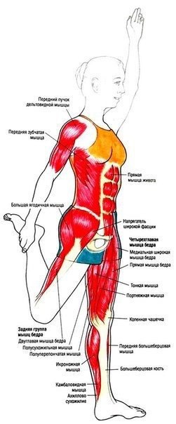 Подборка лучших упражнений для работы над низом