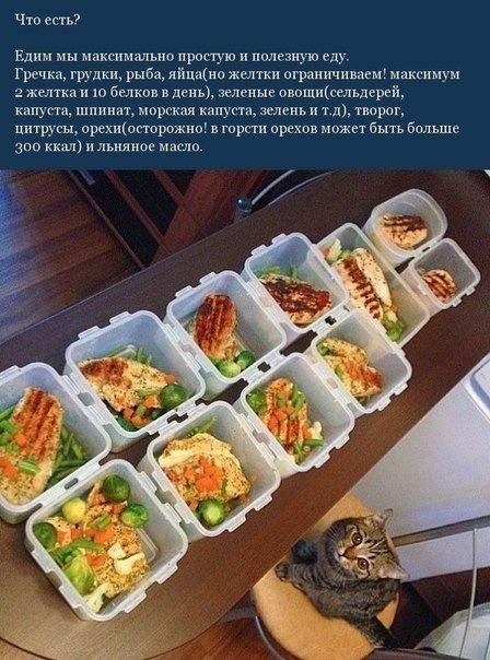 Элементарные правила питания для всех, кто не равнодушен к своей фигуре