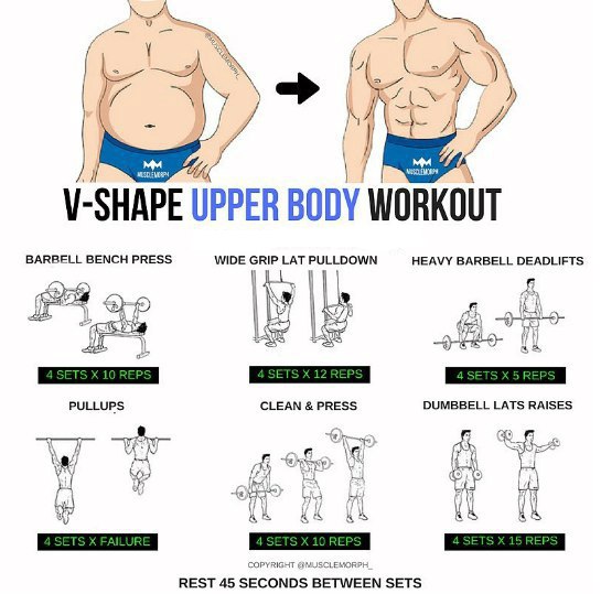Тренировочные комплексы для основных мышечных групп в картинках