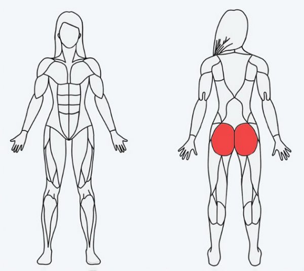 Как правильно выбрать упражнения для мышц, которые вы хотите проработать