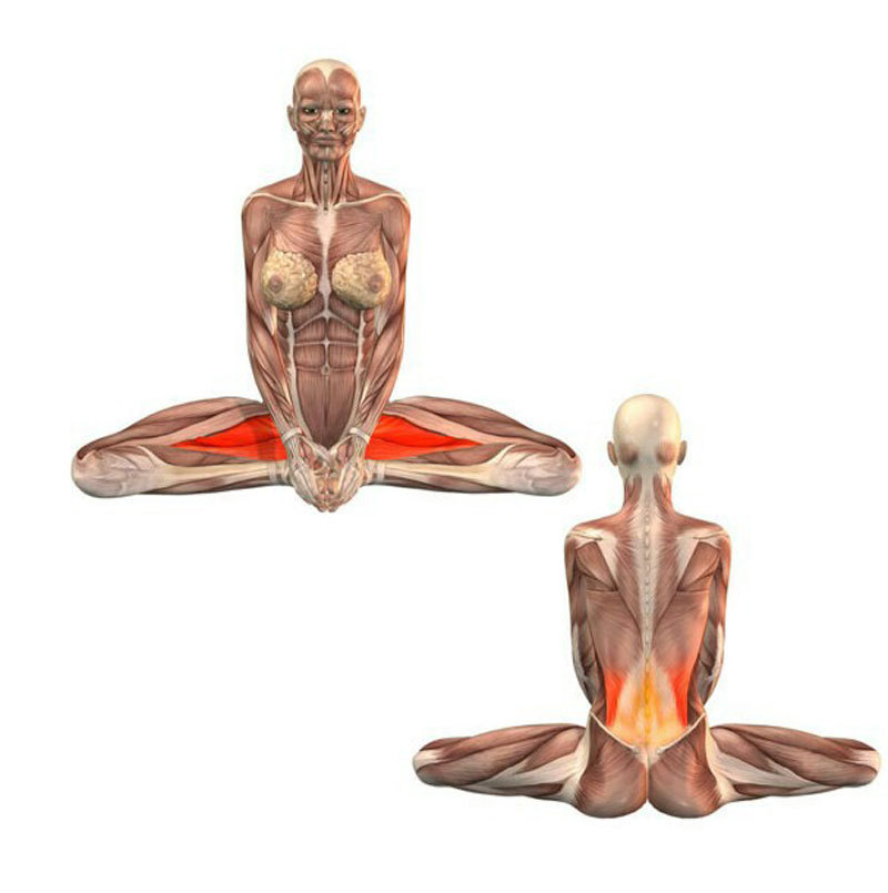 Это упражнение очень полезно для женского здоровья