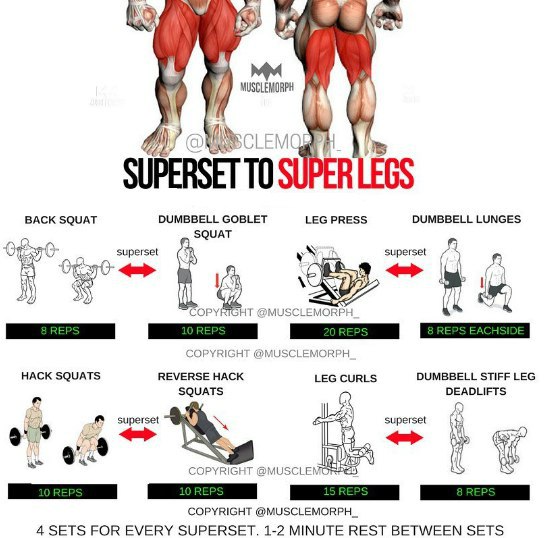 Тренировочные комплексы для основных мышечных групп в картинках