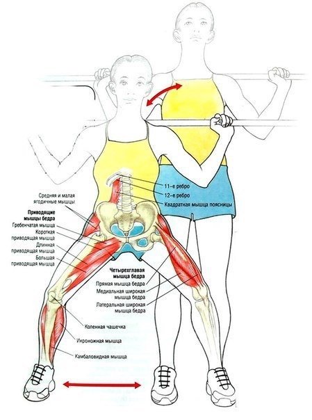 Подборка лучших упражнений для работы над низом