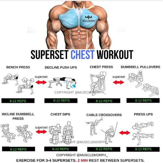 Тренировочные комплексы для основных мышечных групп в картинках