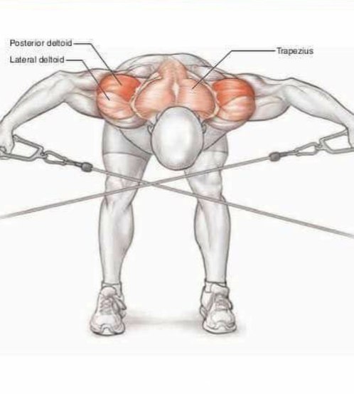 Основные упражнения для тренировки плеч