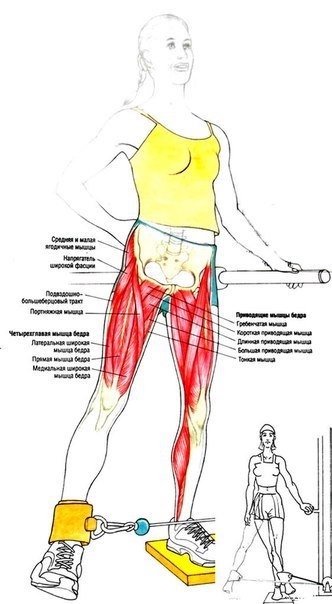 Подборка лучших упражнений для работы над низом