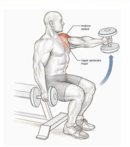 Основные упражнения для тренировки плеч