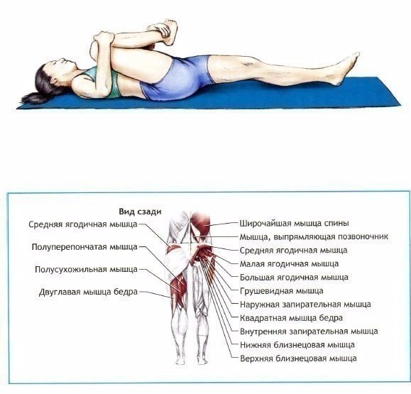 И снова об основном: учшие упражнения на растяжку и гибкость