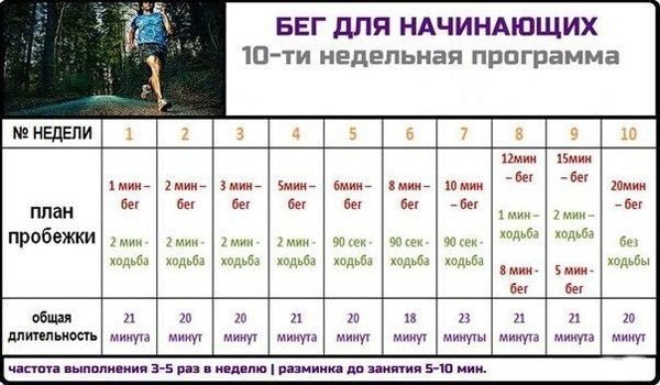 Самые эффективные программы тренировок