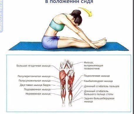 И снова об основном: учшие упражнения на растяжку и гибкость