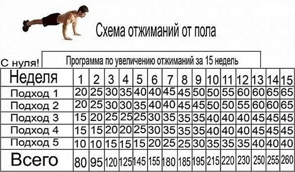 Самые эффективные программы тренировок