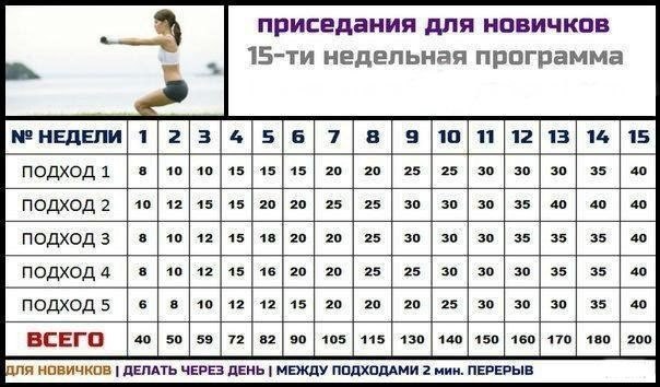 Самые эффективные программы тренировок