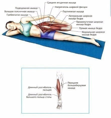 И снова об основном: учшие упражнения на растяжку и гибкость