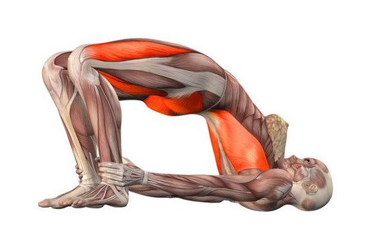 10 поз йоги, чтобы помочь потерять жир на животе