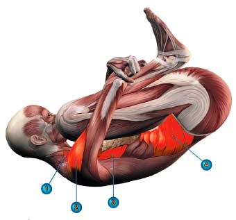 10 поз йоги, чтобы помочь потерять жир на животе