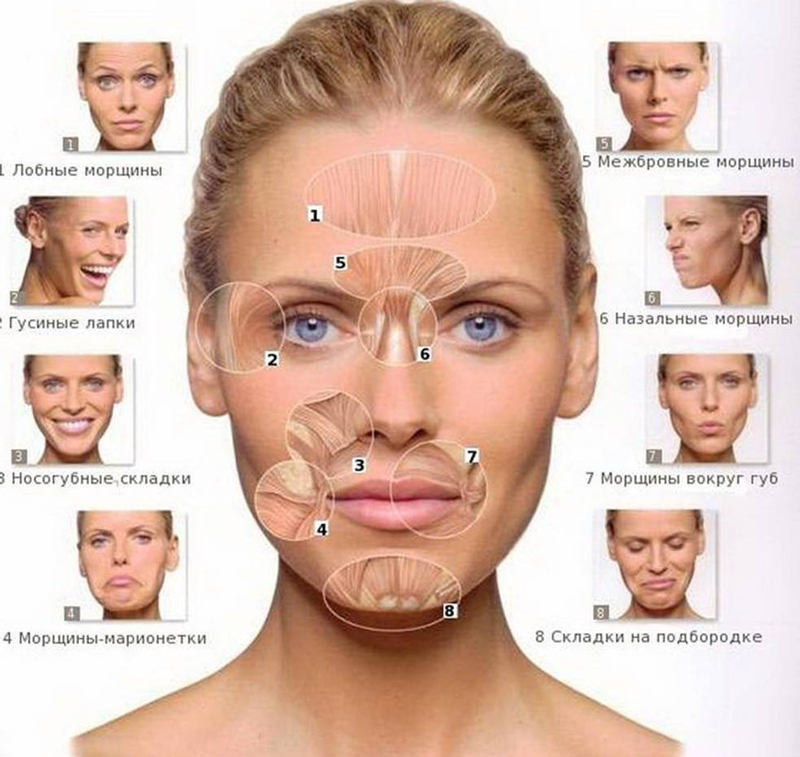 Как предотвратить возрастное обвисание щек?